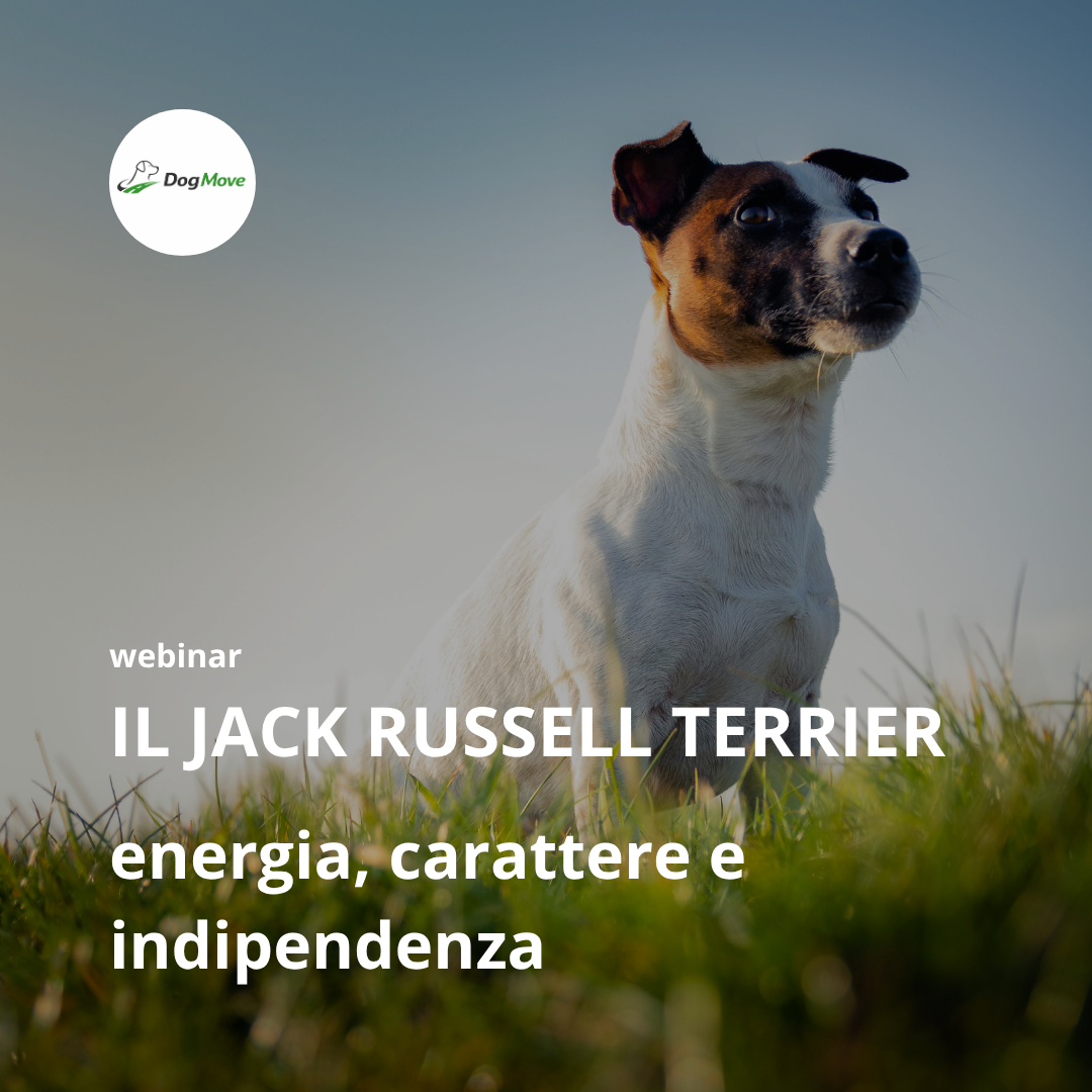 Webinar – Jack Russell | 10 dic 2026